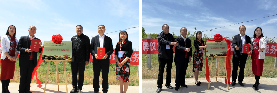 Image title Image title